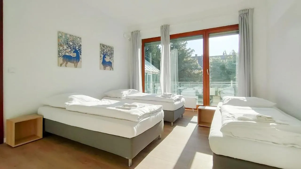 Raj Living - City Apartments With 2 , 3 And 6 Rooms - 15 Min To Messe Dus And Old Town Dus contacts